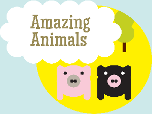 Amazing animals  /  Дивовижні тварини