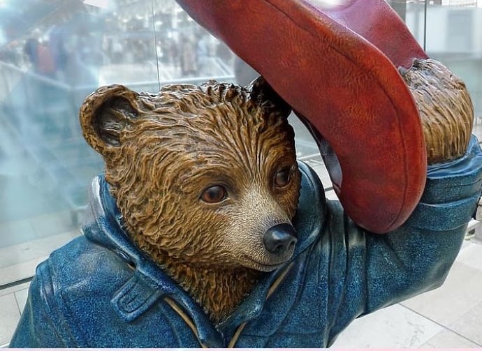 VI English Language Contest “Paddington-2026”